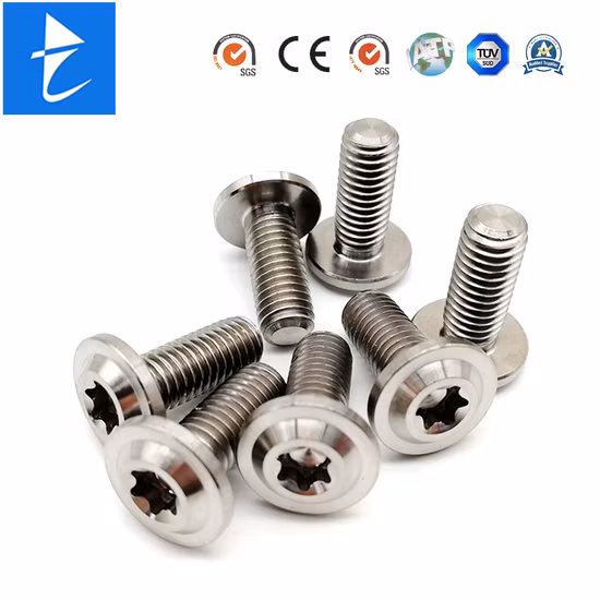Parafuso de segurança de cabeça de soquete Torx de titânio personalizado Gr5 para peças de motocicleta